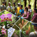 Understanding the International Orchid Conservation Initiative and Its Impact on Orchid Conservation