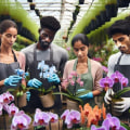 Engaging Local Communities in Orchid Conservation Efforts