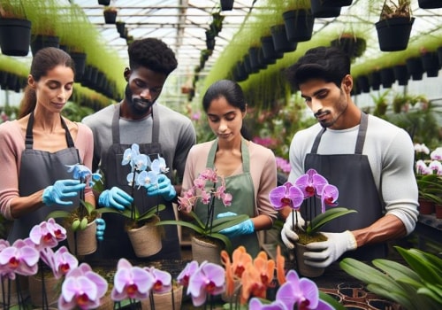 Empowering Individuals: How to Make a Difference in Orchid Conservation