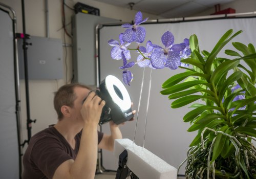 Effective Strategies for Orchid Conservation Amid Climate Change
