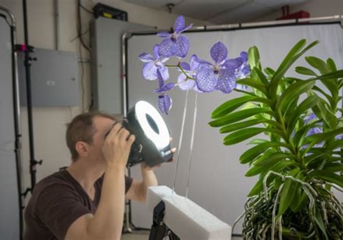 The Impact of Technology on Orchid Conservation Efforts
